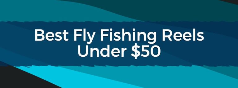Best Best Fly Fishing Reels Under $50 Feature Image